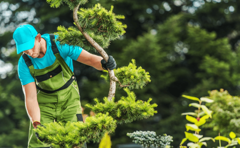 Groot groen medewerker
